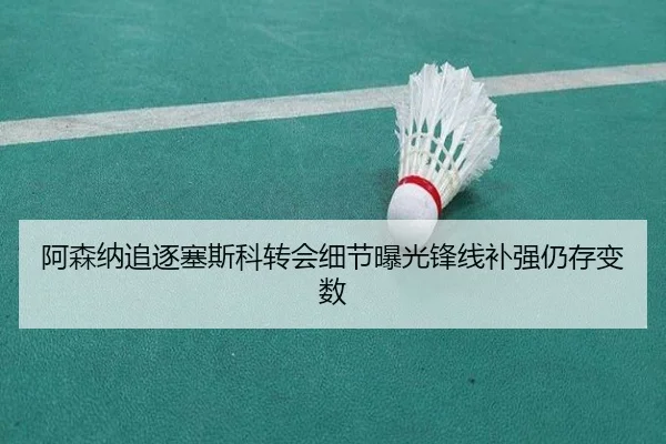 阿森纳追逐塞斯科转会细节曝光锋线补强仍存变数